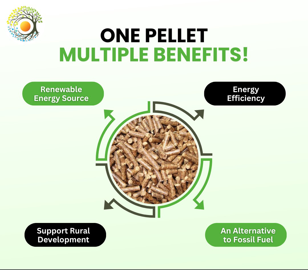 Eeco Urja Ventures: The Bearer for Sustainable Biomass Technology