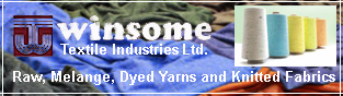 Winsome Textile Industries Ltd.
