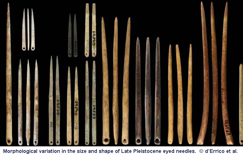 40,000-year-old prehistoric needles & dawn of fashion