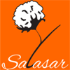 Sri Salasar Balaji Textiles Private Limited
