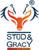 Stud & Gracy by Savi Bazaar