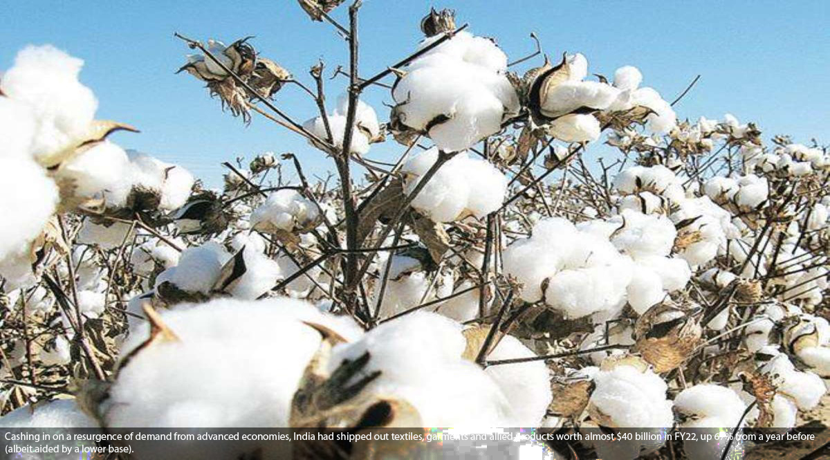 Soaring cotton prices: Textile exporters left high and dry