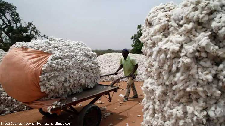 Around 2.50 lakh duty free cotton bales from Australia to boost Gujarat’s textile industry