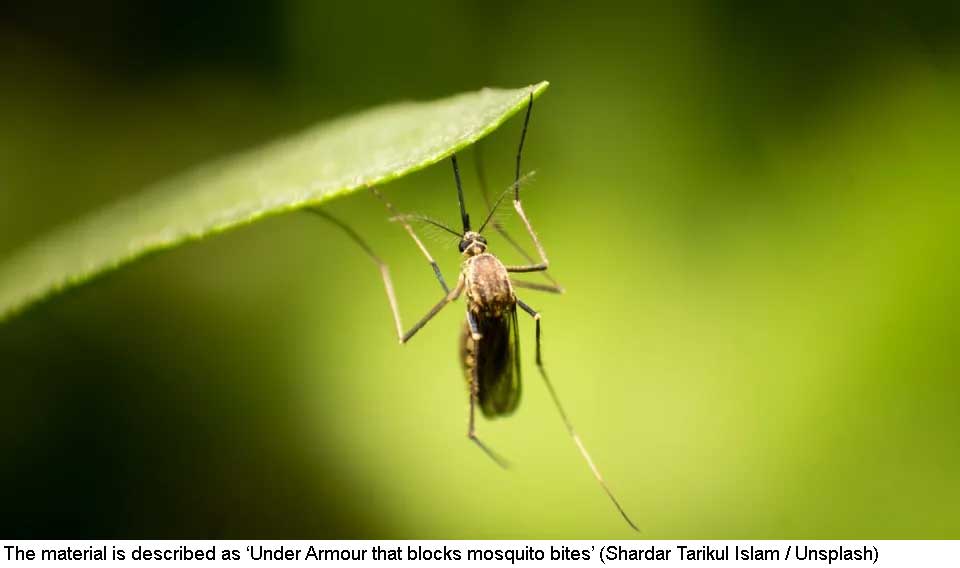 Mosquito bite-proof clothing could be on the horizon after fabric breakthrough