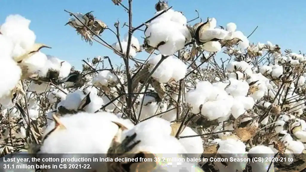 Indian Cotton Yarn industry to see revival in FY 2024