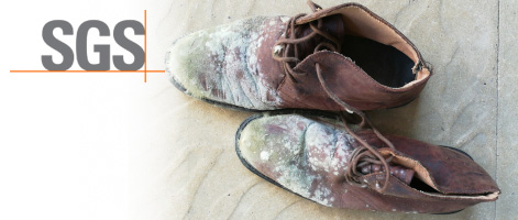 Comprehensive testing of antimicrobial properties in footwear and leather products