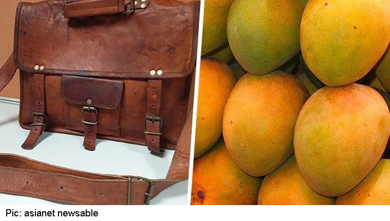 Leather from mangoes! How Chennai-based scientists developed an eco-friendly Vegan alternative