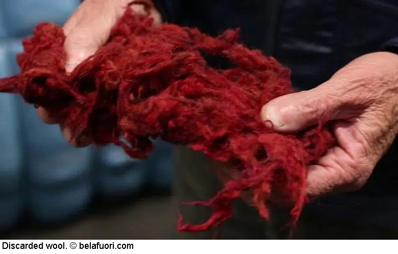 Swedish Wool Initiative creates worsted yarn from discarded fibre