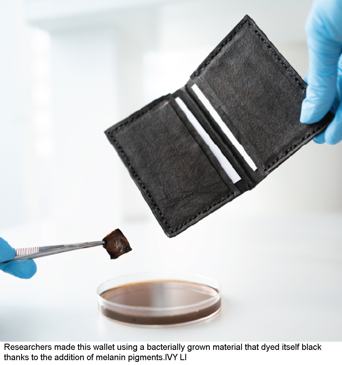 Bacteria is the new black: Scientists create microbes that make self-dyeing textiles