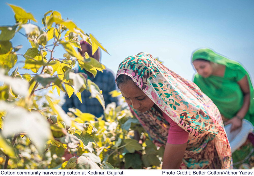 Better Cotton to Advance Gender Equality and Climate Resilience in India with New Impact Fund