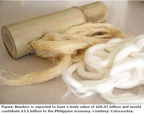 Bamboo fiber for sustainable growth and economic potential in Philippines