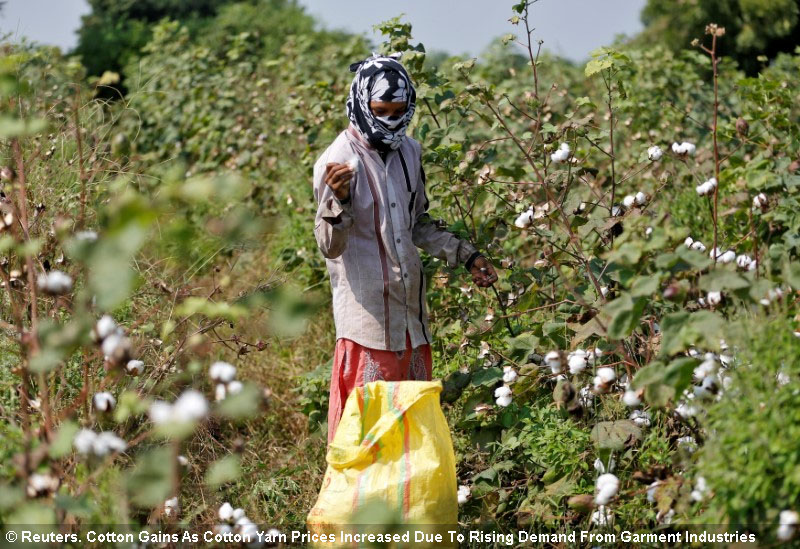 Cotton Gains As Cotton Yarn Prices Increased Due To Rising Demand From Garment Industries