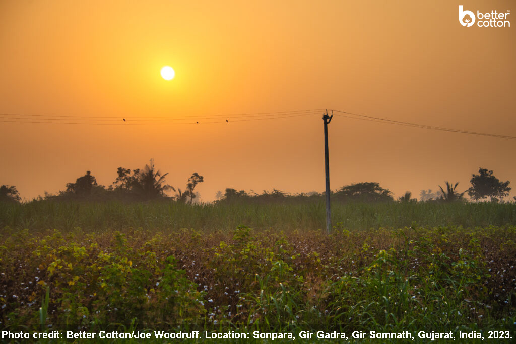 Decarbonisation: How Can Better Cotton Support Members to Meet Climate Targets Whilst Adding Value for Farmers?