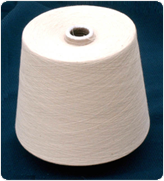 Samosaran Yarns Pvt. Ltd.