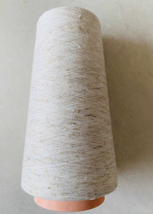 Suryaamba Spinning Mills Ltd