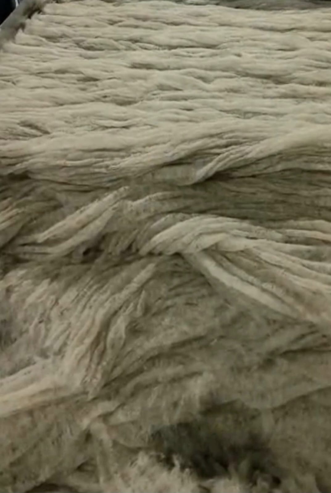 Vote Earth Sustainable Textiles Pvt Ltd